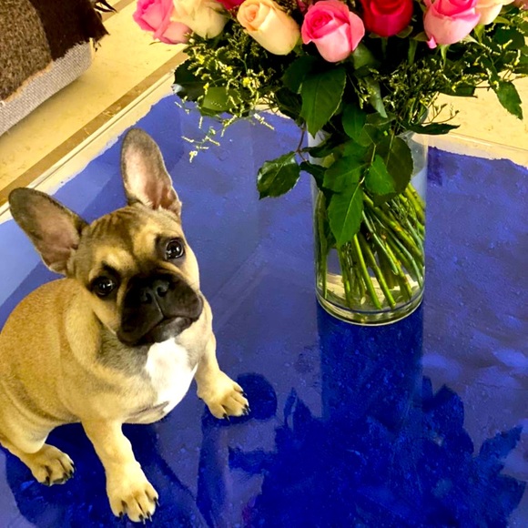 💥BUNDLE 3 KIDS ITEMS OR JEANS AND SAVE MORE!💥 - Picture 1 of 1